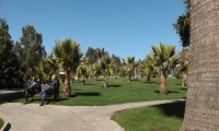 DSCF0005_Small